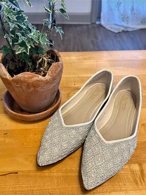 Embellished Pointed-Toe Flats in Silver & Beige